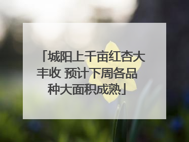 城阳上千亩红杏大丰收 预计下周各品种大面积成熟