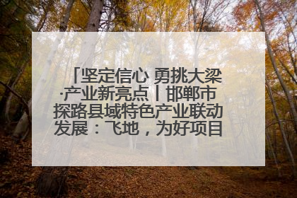 坚定信心 勇挑大梁·产业新亮点丨邯郸市探路县域特色产业联动发展：飞地，为好项目跨域安个家