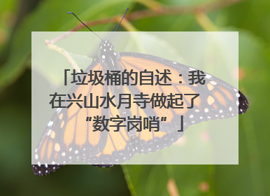 垃圾桶的自述：我在兴山水月寺做起了“数字岗哨”