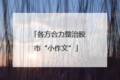 各方合力整治股市“小作文”