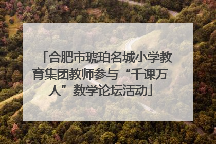 合肥市琥珀名城小学教育集团教师参与“千课万人”数学论坛活动