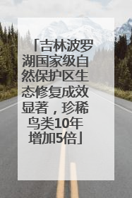 吉林波罗湖国家级自然保护区生态修复成效显著，珍稀鸟类10年增加5倍