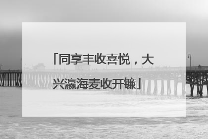 同享丰收喜悦，大兴瀛海麦收开镰