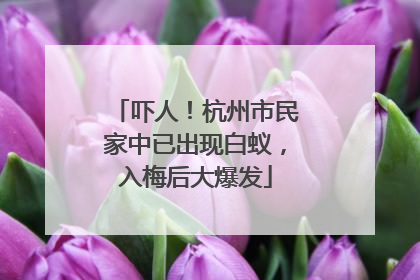 吓人！杭州市民家中已出现白蚁，入梅后大爆发