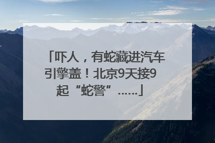 吓人，有蛇藏进汽车引擎盖！北京9天接9起“蛇警”……