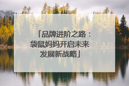 品牌进阶之路：袋鼠妈妈开启未来发展新战略