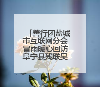善行团盐城市互联网分会冒雨暖心回访阜宁县残联吴滩宜家