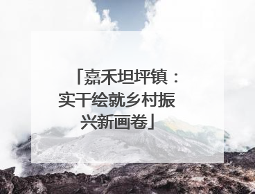 嘉禾坦坪镇：实干绘就乡村振兴新画卷
