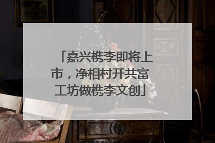 嘉兴槜李即将上市，净相村开共富工坊做槜李文创