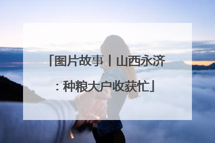 图片故事丨山西永济：种粮大户收获忙