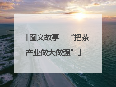 图文故事｜“把茶产业做大做强”
