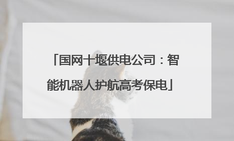 国网十堰供电公司：智能机器人护航高考保电