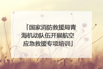 国家消防救援局青海机动队伍开展航空应急救援专项培训