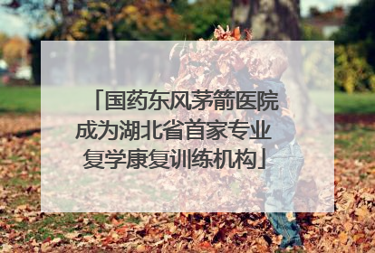 国药东风茅箭医院成为湖北省首家专业复学康复训练机构
