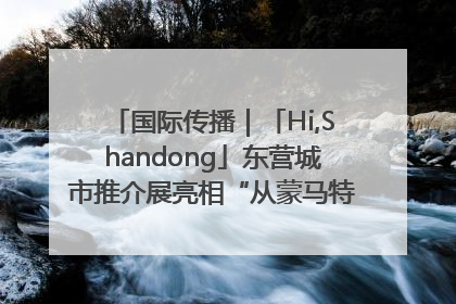 国际传播｜「Hi,Shandong」东营城市推介展亮相“从蒙马特到加里波第”文化节