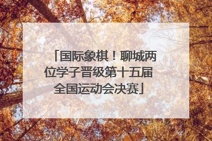 国际象棋！聊城两位学子晋级第十五届全国运动会决赛