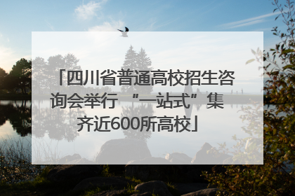 四川省普通高校招生咨询会举行 “一站式”集齐近600所高校