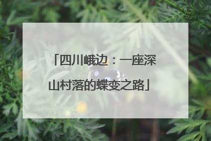 四川峨边：一座深山村落的蝶变之路