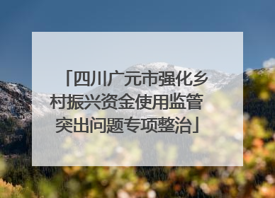 四川广元市强化乡村振兴资金使用监管突出问题专项整治