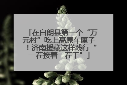 在白朗县第一个“万元村”吃上高原车厘子！济南援藏这样践行“一茬接着一茬干”