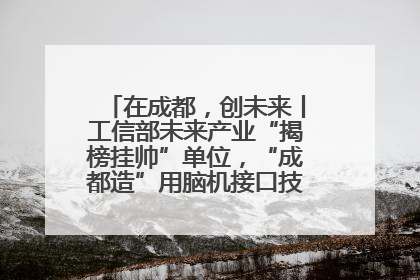 在成都，创未来丨工信部未来产业“揭榜挂帅”单位，“成都造”用脑机接口技术造福孤独症儿童