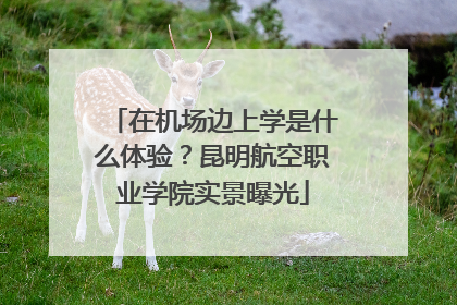 在机场边上学是什么体验？昆明航空职业学院实景曝光