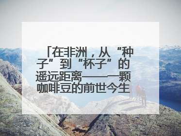 在非洲，从“种子”到“杯子”的遥远距离——一颗咖啡豆的前世今生（三）