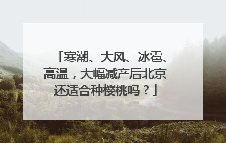 寒潮、大风、冰雹、高温，大幅减产后北京还适合种樱桃吗？