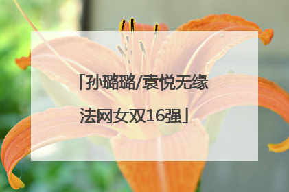 孙璐璐/袁悦无缘法网女双16强