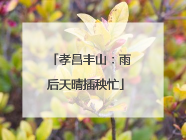 孝昌丰山：雨后天晴插秧忙