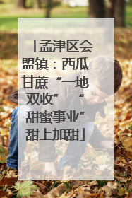 孟津区会盟镇：西瓜甘蔗“一地双收” “甜蜜事业”甜上加甜