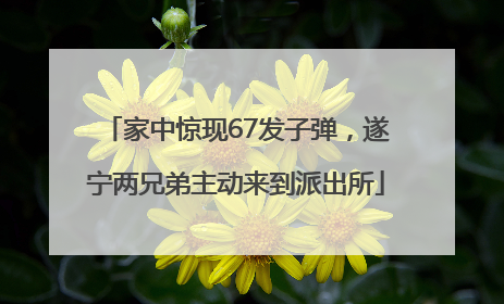 家中惊现67发子弹，遂宁两兄弟主动来到派出所
