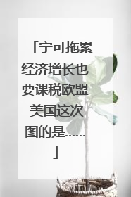 宁可拖累经济增长也要课税欧盟 美国这次图的是……