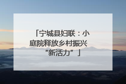 宁城县妇联：小庭院释放乡村振兴“新活力”