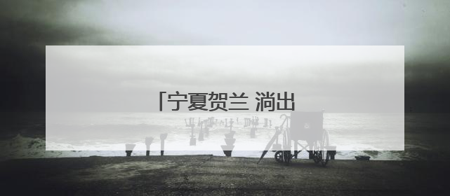 宁夏贺兰 淌出西北水产特色路