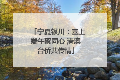 宁夏银川：塞上端午聚同心 港澳台侨共传情