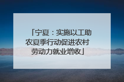 宁夏：实施以工助农夏季行动促进农村劳动力就业增收