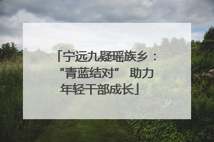 宁远九疑瑶族乡：“青蓝结对” 助力年轻干部成长