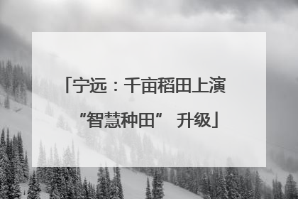 宁远：千亩稻田上演 “智慧种田” 升级