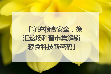 守护粮食安全，徐汇这场科普市集解锁粮食科技新密码