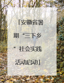 安徽省暑期“三下乡”社会实践活动启动