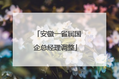 安徽一省属国企总经理调整