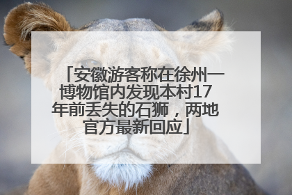 安徽游客称在徐州一博物馆内发现本村17年前丢失的石狮，两地官方最新回应