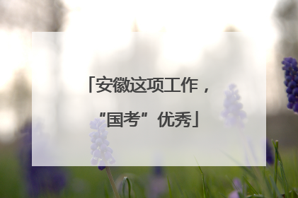 安徽这项工作，“国考”优秀