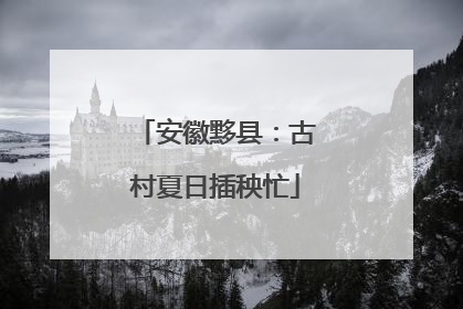 安徽黟县：古村夏日插秧忙