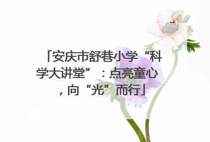 安庆市舒巷小学“科学大讲堂”：点亮童心，向“光”而行