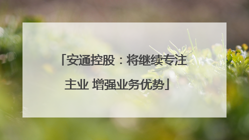 安通控股：将继续专注主业 增强业务优势