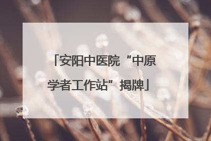 安阳中医院“中原学者工作站”揭牌