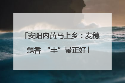 安阳内黄马上乡：麦穗飘香 “丰”景正好