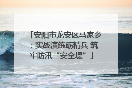 安阳市龙安区马家乡：实战演练砺精兵 筑牢防汛“安全堤”